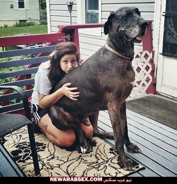 Рассказы муж жена собака. Девушка с огромным догом. Большая собака на руках. Самые большие собаки и девушки. Девушка с большой собакой.